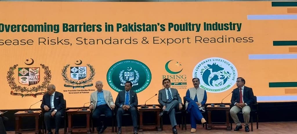 Wide view of National Dialogue panel discussion