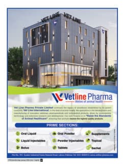 IVP Expo 2027 promotional spread